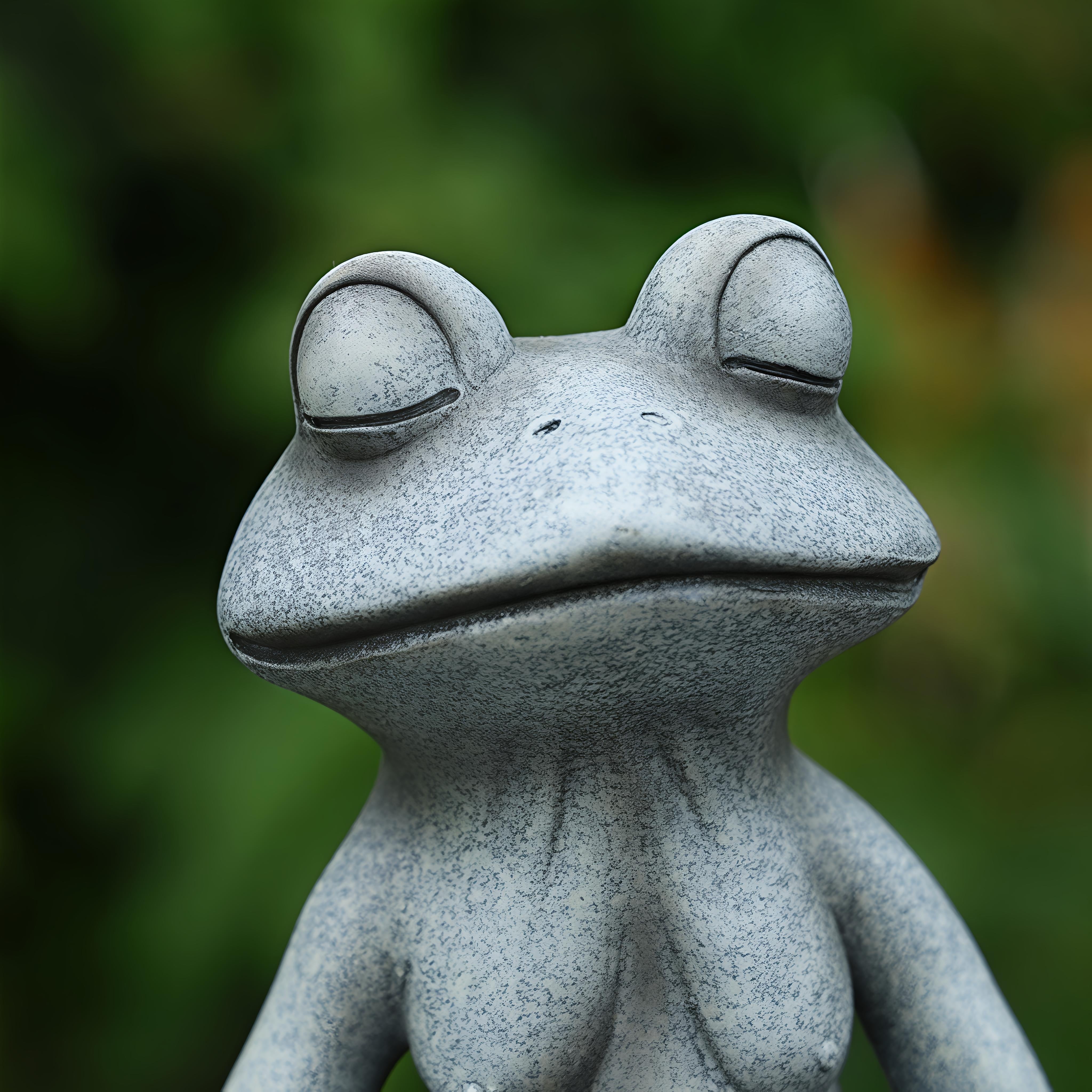 Sitting Frog 1