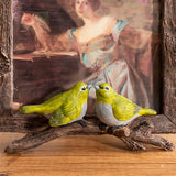 Bird Photo Frame